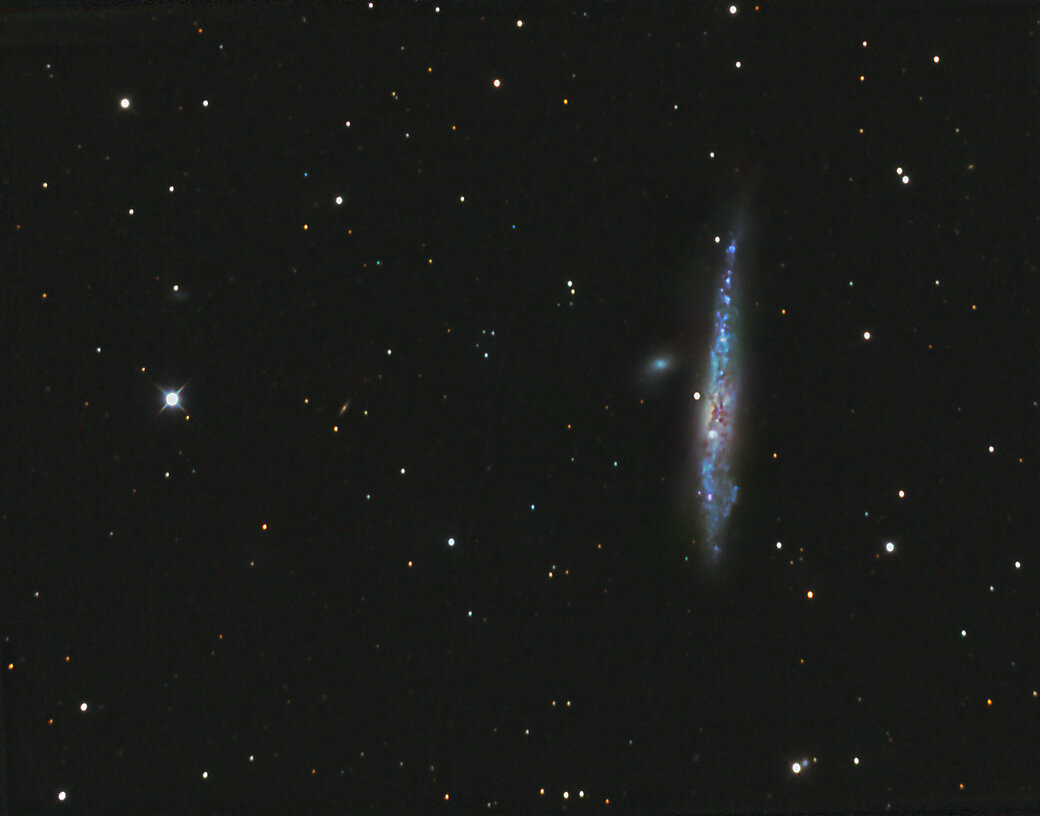 Whale Galaxy NGC4631